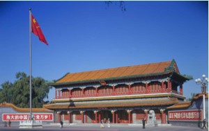 中南?；顒又行? /></a><p><a href=